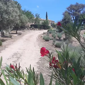Stazzo Su Niberalzu , Monti Italia